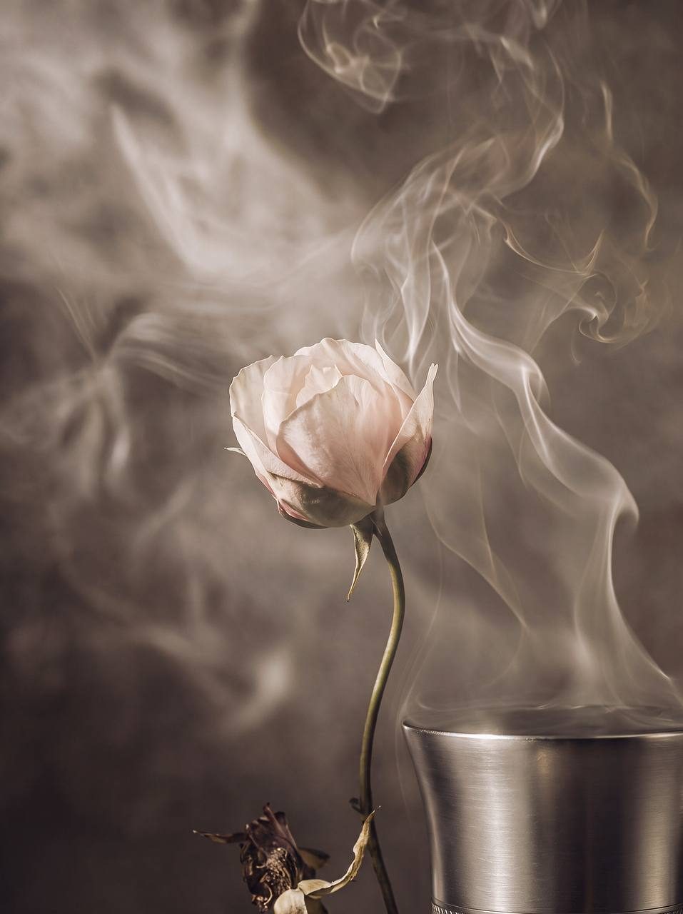 AI image: a white rose and smoke by a metal bowl